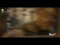 Ragu Brothers Song Remix GreenRastaCrew DjRemixFm