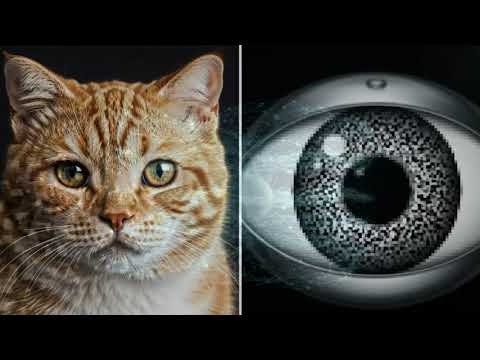 Kako veštačka inteligencija zaista funkcioniše | Neuronske mreže i AI revolucija