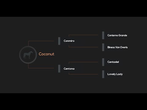 COCONUT (Conmiro x Centadel) - Catalogue Number 9