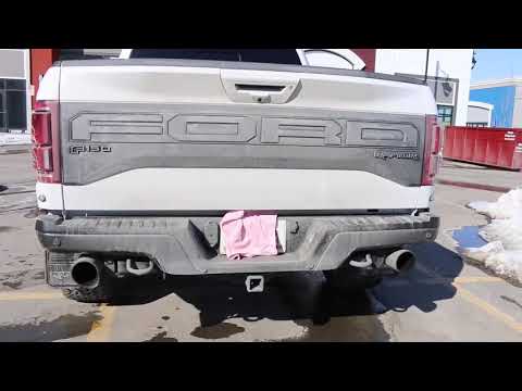 2020 Ford Raptor res delete