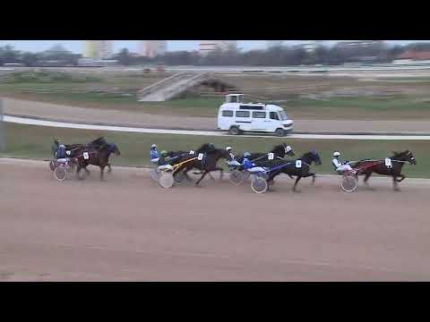 2022.12.03. 09. futam - ALFÖLD GYÖNGYE - GYOPÁROSFÜRDŐI HENDIKEP