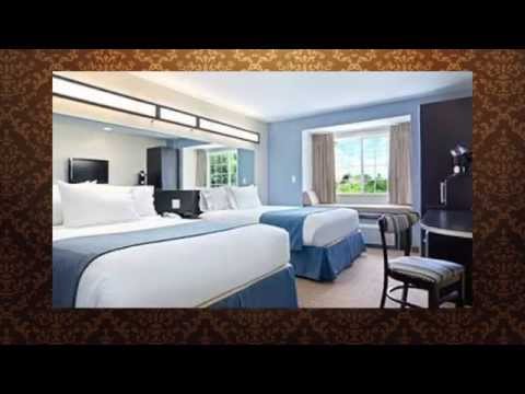 Microtel Inn & Suites by Wyndham - Brooksville, FL