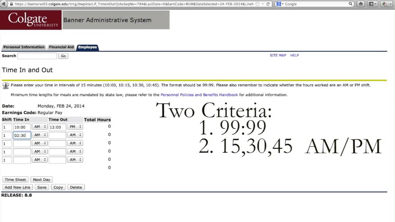 Web Time Entry - Student Overview
