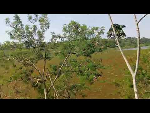 Rio jaracatiá de nova prata do Iguaçu Paraná 