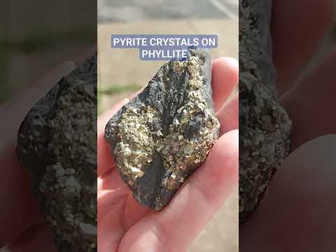 Pyrite Crystals on Phyllite #rockcollection