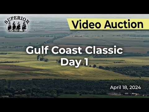 Superior Livestock Auction - Gulf Coast Classic Day 1
