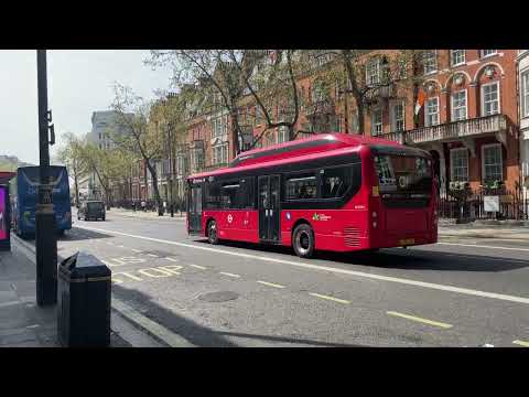 First Bus London Enviro200EV 37013 (LJ18 FJU) On Route C1 To Victoria