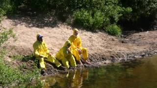 If the Beastie Boys Covered Dr. Seuss' Sneetches