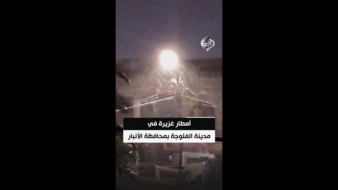 فيديو | أمطار غزيرة في مدينة الفلوجة بمحافظة الأنبار