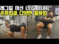 레그컬 머신 운동법과 다양한 운동 활용 방법HOW TO USE LEG CURL MACHINE