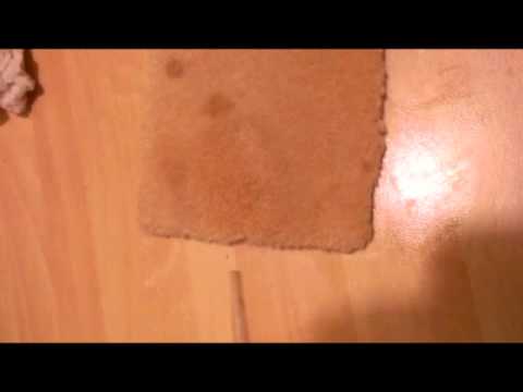 Cleaning with BIOSATIVA – Carpet Cleaning