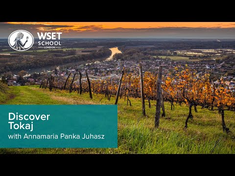 Discover Tokaj with Annamaria Panka Juhasz