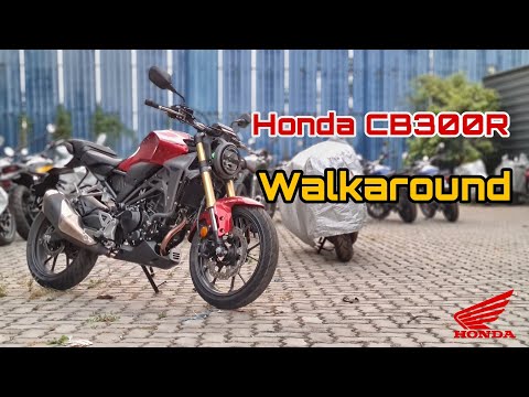 2022 Honda CB300R | Walkaround #honda #cb300
