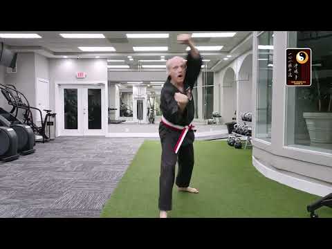 Speed Combinations: U Punch – Sensei Rod Lindgren