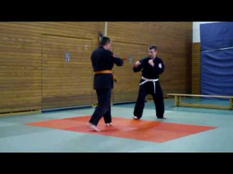 Atemi Combat System Prüfung zum 3 Kyu Teil 2