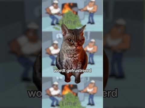 IBGraf Business Solutions zoekt nu personeel - foto van de werkplek