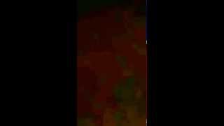 Flying 'Black Horse' In Jeddah -  Saudi Caught On Video