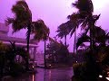 The Hollies - Purple Rain (Lyrics) Legenda Inglês - Português