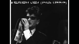 Herman Brood & Various - Tallahassee Lassie (Freddy Cannon)