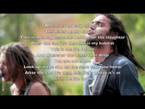 The Movement- Set Sail