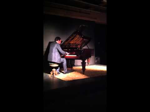 1879 Bechstein Concert Grand Piano