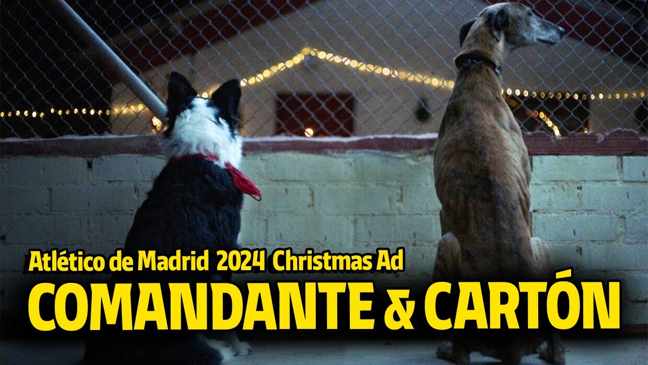 Comandante & Cartón ❤️🤍 Spot de Navidad 2024, Atlético de Madrid | Christmas Ad