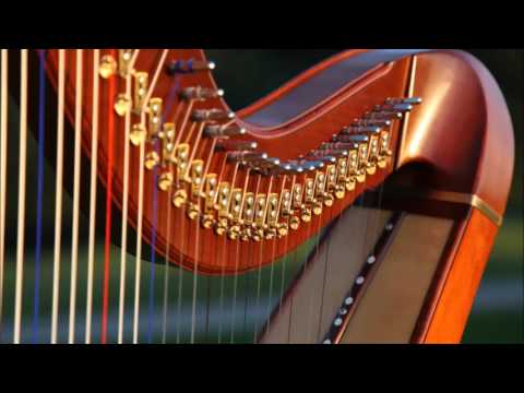 Hinterberger Saitenmusik Schafeboarischer