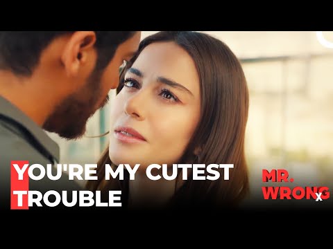 No One Can Resist Love - Mr. Wrong