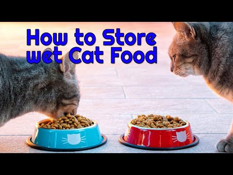 How to Store Wet Cat Food