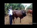 Mayikusai Ujumbe Wa Nziku Jane Videos Music Prd Magigiwe Studio Usiache Kutazama Kalisana Utafulahia