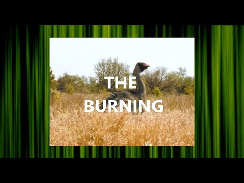 The Burning - 2 - Monsters We Met - Series