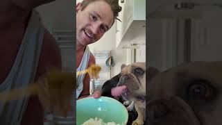 Dog friendly frozen yogurt treats recipe🍦 #dog #dogrecipe
