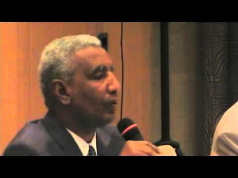 SDU UK & Ireland Meetings 2013