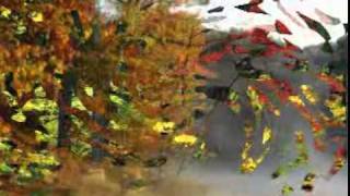 Segâh İlâhi - Ben bu aşka duş oldum CGG.mp4