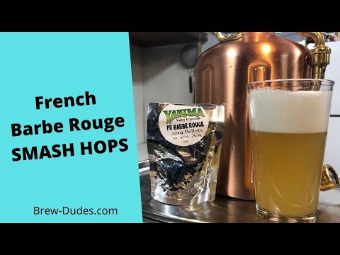What Do Barbe Rouge Hops Taste Like? SMaSH Beer Experiment