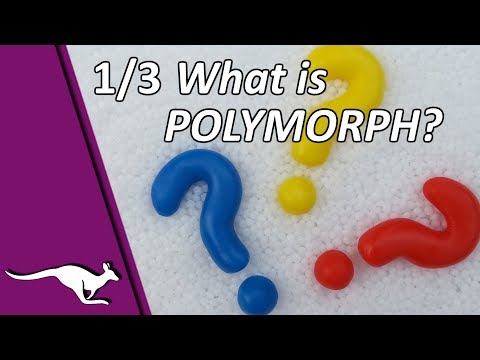What is Polymorph? - InstaMorph, Polydoh | Polymorph 1/3