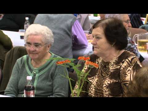 JTV Híradó 2012/45 - 2012.11.11.