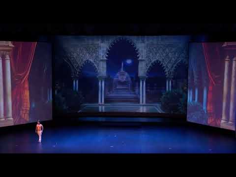 LE CORSAIRE - Ali Variation (Ivan Vasiliev)