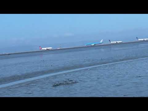 KLM 787-9 Dreamliner takes off SFO