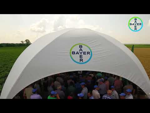 Bayer Agro Arena Marghita