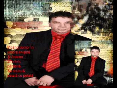 C.N."Petru Rares" Beclean Clasa aXII-a Sociale promotia 2007-2011