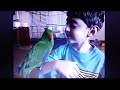 Elmo S World Birds Footage
