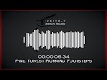 Footsteps Running In Pine Forest HQ Sound Effects