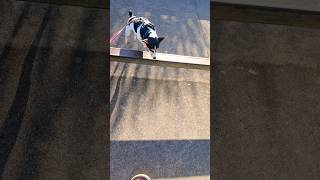 9571. Long lead over rail over re-cue over under x2 skatepark Esplanade 18 Aug 2026 AK
