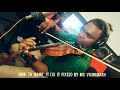 How To Name It Is It Fixed Ilaiyaraaja M S Viswanath Violin Cover Western
