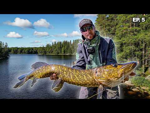 Two days through Sweden's forests - Ep. 5