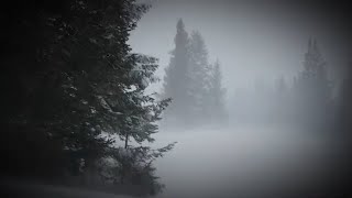 Avfärd Music Video