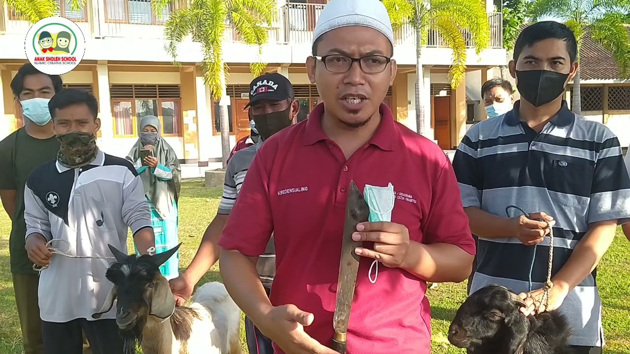 Tata Cara Penyembelihan Hewan Qurban