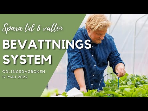 Spara tid & vatten med bevattningssystem! - Odlingsdagboken 17 Maj 2022