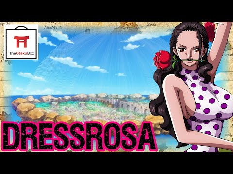 DRESSROSA: Geography Is Everything - One Piece Discussion (Sponsored) | Tekking101